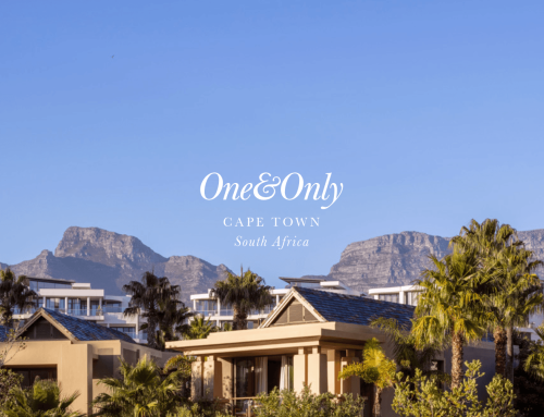 City & Safari – A journey through two Capes of South Africa